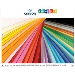 Canson Cartoncini colorati CF25Foglio COLORLINE 50x70cm 220g BIANCO