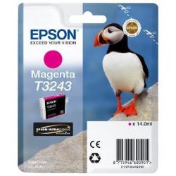 Epson CONSUMABILI STAMPANTI GETTO MATERIALE DI CONSUMO  CARTUCCE DI INCHIOSTRO  ULTRACHROME  HI-GLOSS2  T3243  PUFFIN  CONFEZIONE SINGOLA  1 X 14 0 ML MAGENTA