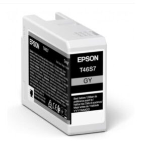 Epson CONSUMABILI STAMPANTI GETTO SINGLEPACK GRAY T46S7 ULTRACHROME PRO 10 INK 25ML