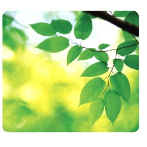 Fellowes Mouse Pad MOUSEPAD ECOLOGICO EARTH SERIES – FOGLIE