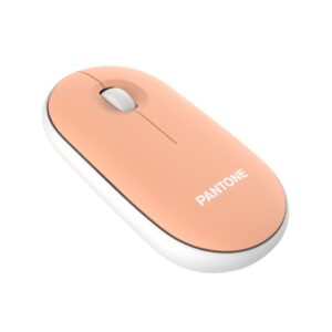 Pantone MOUSE WIRELESS =>>PANTONE MOUSE CON DONGLE OR